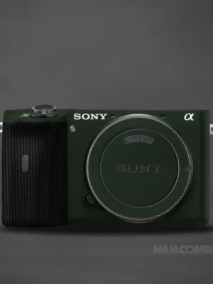 Sony A6600