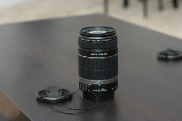 Canon 55-250mm 4 -5.6 Lens Skin