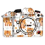 Panasonic Lumix GH6 Skin