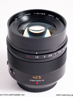 Panasonic Lumix 42.5mm f1.2 Lens Skin
